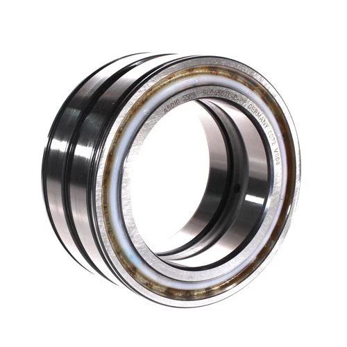 SL04160-D-PP-Cylindrical Roller Bearing